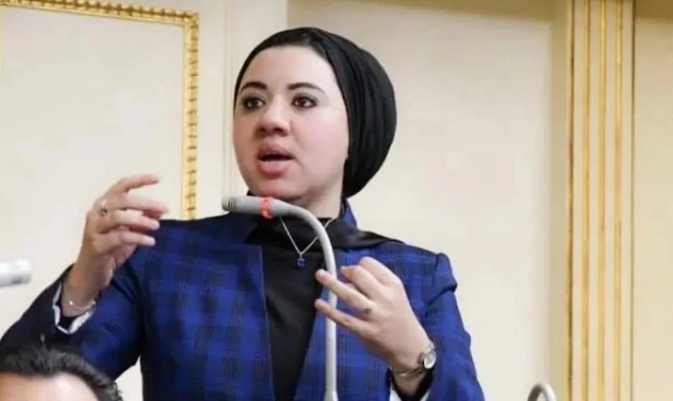 “المصري الديمقراطي” يُعلن عن الخطة الانتخابية لأميرة صابر للترشح لعضوية مجلس الشيوخ