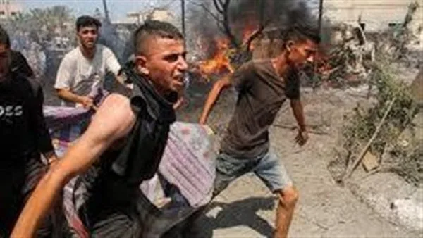 المقررة الأممية لحقوق الإنسان: ينبغي أن يمثل قادة إسرائيل المتورطون في جرائم الإبادة أمام العدالة.