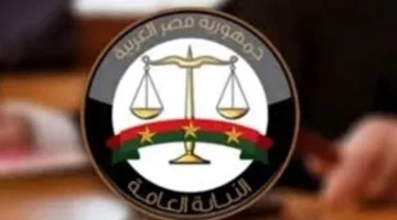 النيابة العامة تحقق في حالات الاحتيال الإلكتروني عبر منصة “VSA” بتهم سرقة ملايين الجنيهات من المواطنين.