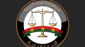 النيابة تفتح تحقيقًا حول وقائع الاحتيال الإلكتروني عبر منصة “VSA” وتلقي القبض على 23 متهمًا