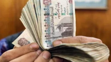 “النيل الصناعي” يُخطط لإطلاق الاكتتاب العام للإصدار الأول بقيمة 10 مليارات جنيه