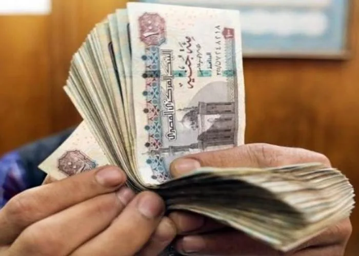 “النيل الصناعي” يُخطط لإطلاق الاكتتاب العام للإصدار الأول بقيمة 10 مليارات جنيه “النيل الصناعي” يُخطط لإطلاق الاكتتاب العام للإصدار الأول بقيمة 10 مليارات جنيه