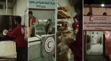 الهلال الأحمر المصري يرسل قوافل تحمل الخبز الطازج إلى غزة – صور