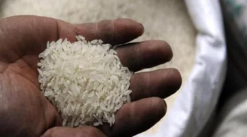 الهند تدرس طرح احتياطيات الأرز المكسور للبيع في السوق الحرة