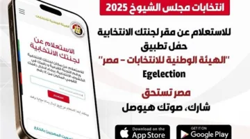 الهيئة الوطنية تطلق تطبيقًا إلكترونيًا لتسهيل المشاركة في انتخابات الشيوخ 2025