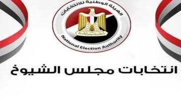 “الهيئة الوطنية للإعلام” تواصل اجتماعاتها لمتابعة تغطية انتخابات مجلس الشيوخ 2025