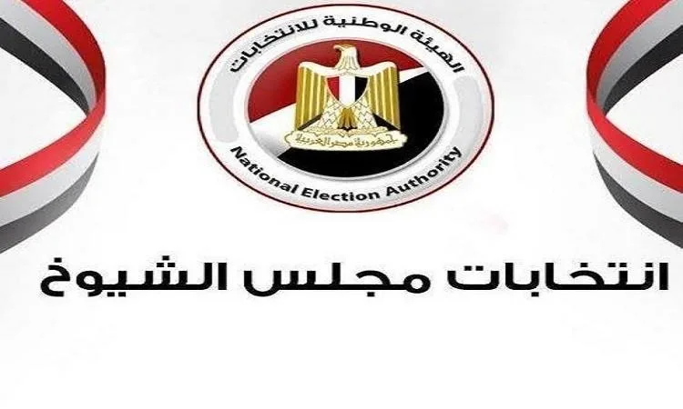“الهيئة الوطنية للإعلام” تواصل اجتماعاتها لمتابعة تغطية انتخابات مجلس الشيوخ 2025