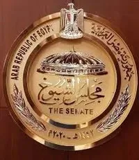 الهيئة الوطنية للانتخابات: 75 منظمة سجلت لرصد انتخابات “مجلس الشيوخ” الهيئة الوطنية للانتخابات: 75 منظمة سجلت لرصد انتخابات “مجلس الشيوخ”