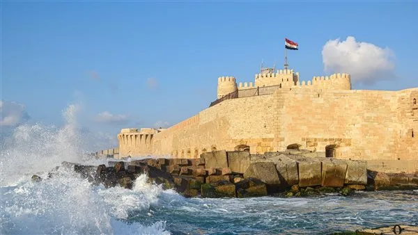 اليوم.. دخول المتاحف والمواقع الأثرية في الإسكندرية مجانًا للزوار اليوم.. دخول المتاحف والمواقع الأثرية في الإسكندرية مجانًا للزوار