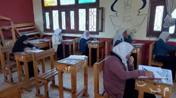 اليوم.. طلاب الفرع الأدبي في الثانوية الأزهرية يختبرون في مادة البلاغة