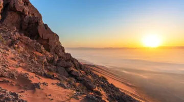 اليونسكو تضيف موقع ‘الفاية’ في الشارقة إلى قائمة مواقع التراث العالمي.