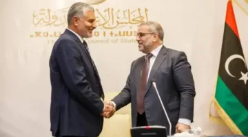 انتخابات المجلس الأعلى لا تُحَلّ النزاع: الانقسام يُعَرّض خريطة الطريق في ليبيا للخطر