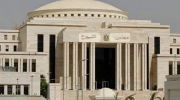 انتخابات مجلس الشيوخ 2025: مصر تتحضر لاستحقاق دستوري قادم