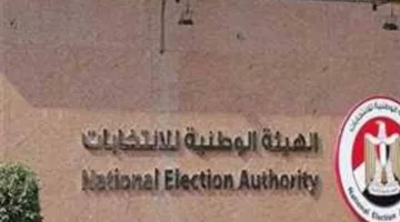 انتهاء اليوم الأول من فترة الترشح.. لجان التدقيق تقوم بمراجعة ملفات مرشحي مجلس الشيوخ