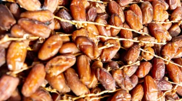 انخفاض عائدات تصدير التمور في تونس بنسبة 3.8% خلال ثمانية أشهر