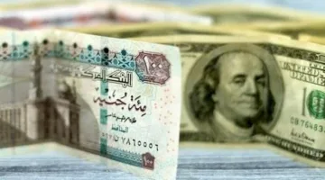 انخفاض قيمة الدولار في مصر وتجاوز الـ49… ما الأسباب وراء قوة صعود الجنيه؟