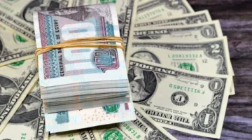 انخفاض ملحوظ في سعر الدولار مقابل الجنيه المصري، حيث سجل مستوى تحت 49.5 اليوم الثلاثاء