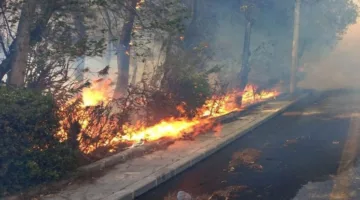 اندلاع حريق ضخم وارتفاع أعمدة الدخان حول قصر الشعب في دمشق
