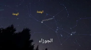 انطلاق موسم «جمرة القيظ» في الإمارات.. وتنبيهات بشأن ارتفاع درجات الحرارة