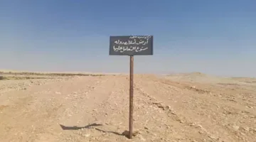 بالفيديو: استعادة 105 أفدنة من أراضي ملكية الدولة في الأقصر