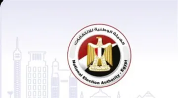 بدء استقبال طلبات الترشح لانتخابات مجلس الشيوخ في اليوم الأخير.. وإغلاق باب التقديم عند الثانية ظهرًا
