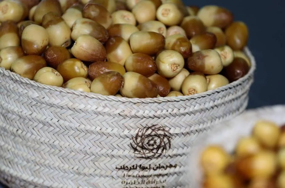 برعاية منصور بن زايد.. انطلاق فعاليات «ليوا للرطب» اليوم برعاية منصور بن زايد.. انطلاق فعاليات «ليوا للرطب» اليوم