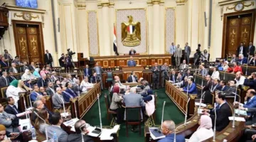 برلماني: مصر تعمل على جميع الجبهات لوقف النزاع وتخفيف معاناة الفلسطينيين.