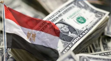 بشرى سارة: تحسن مؤشرات الاقتصاد المصري عقب تنفيذ برنامج الإصلاح