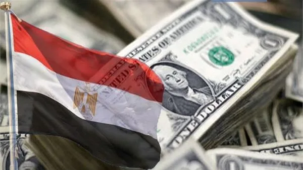 بشرى سارة: تحسن مؤشرات الاقتصاد المصري عقب تنفيذ برنامج الإصلاح بشرى سارة: تحسن مؤشرات الاقتصاد المصري عقب تنفيذ برنامج الإصلاح
