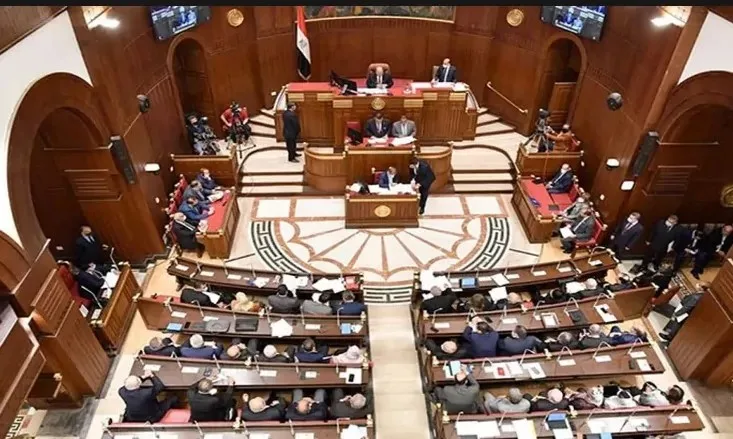 بين الأبعاد الداخلية والخارجية: هل تتباين آليات انتخابات مجلس الشيوخ؟ “الحرية” توضح