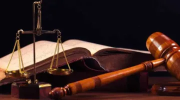 بين العقم والعجز وقرار عدم الإنجاب