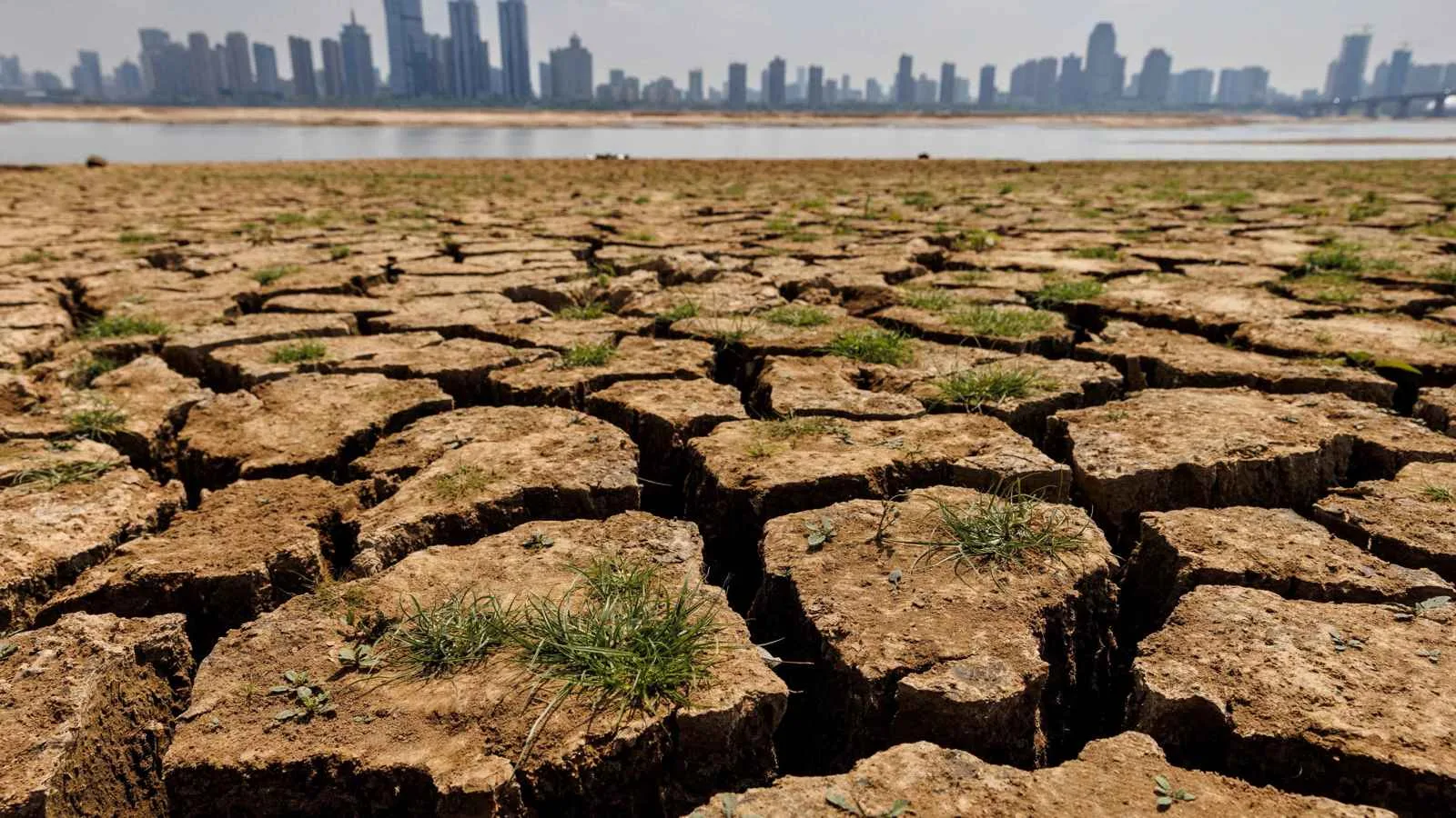 تآكل المناطق الرطبة: تكلفة اقتصادية تقدر بـ39 تريليون دولار بحلول عام 2050