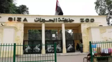 تاريخ افتتاح حديقة حيوانات الجيزة وتكاليف التذاكر المحدثة