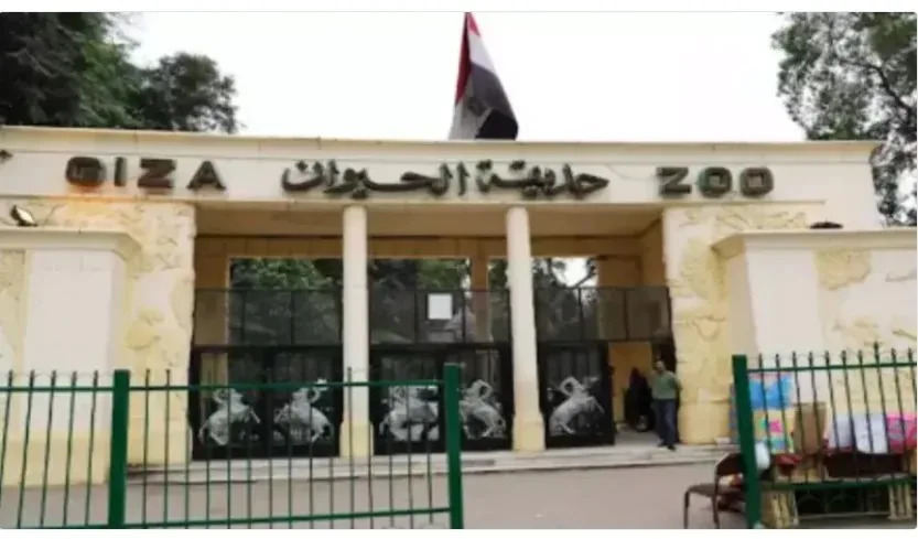 تاريخ افتتاح حديقة حيوانات الجيزة وتكاليف التذاكر المحدثة