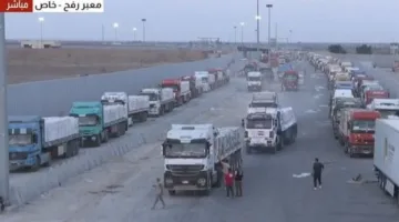 تجمع شاحنات المساعدات استعداداً للانطلاق من مصر إلى قطاع غزة.. فيديو