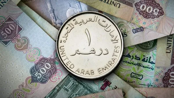 تحديث جديد: قيمة الدرهم مقابل الجنيه المصري بعد قرار البنك المركزي تحديث جديد: قيمة الدرهم مقابل الجنيه المصري بعد قرار البنك المركزي