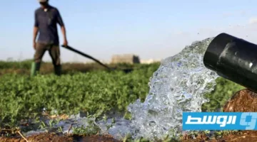 تحلية مياه البحر: فرصة جديدة للزراعة في جنوب المغرب