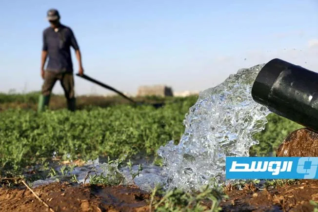 تحلية مياه البحر: فرصة جديدة للزراعة في جنوب المغرب تحلية مياه البحر: فرصة جديدة للزراعة في جنوب المغرب
