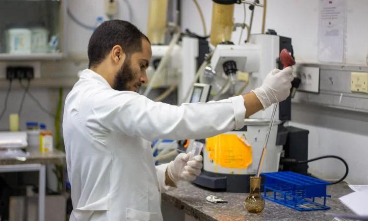 تحليل متبقيات المبيدات: استقبال عينات وإصدار نتائج لأكثر من 800 عينة تحليل متبقيات المبيدات: استقبال عينات وإصدار نتائج لأكثر من 800 عينة