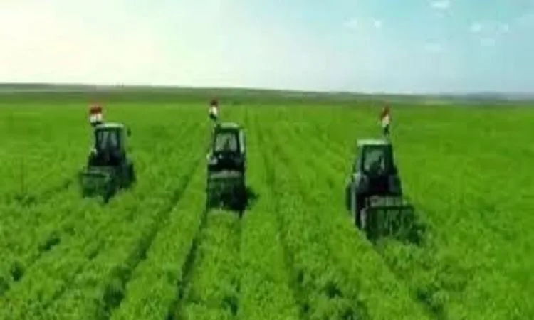 “تحيا مصر” يستعرض مساهمة منظمة إيكاردا في تعزيز الأمن الغذائي “تحيا مصر” يستعرض مساهمة منظمة إيكاردا في تعزيز الأمن الغذائي