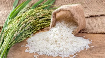 ترامب يلوح بفرض رسوم جديدة على اليابان بسبب عدم قبولها استيراد الأرز الأمريكي