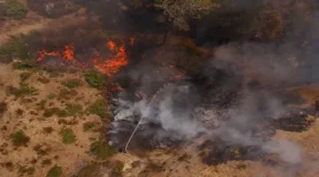 تركيا تنبّه من خطر نشوب حرائق الغابات