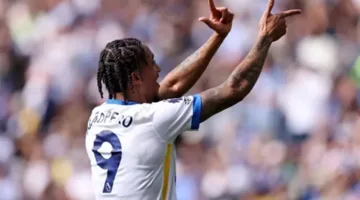 تشيلسي يتعاقد مع اللاعب البرازيلي جواو بيدرو من نادي برايتون