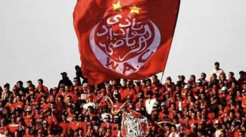 «تفاعل».. الوداد يسعى للتعاقد مع ثنائي الأهلي والزمالك بعد صدمة المونديال.
