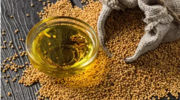 تقديرات استيراد البذور الزيتية تصل إلى أعلى مستوياتها خلال 4 سنوات