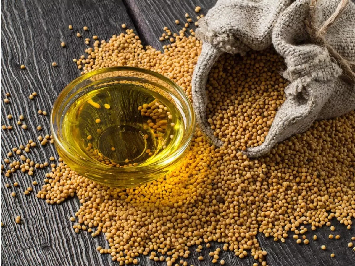 تقديرات استيراد البذور الزيتية تصل إلى أعلى مستوياتها خلال 4 سنوات