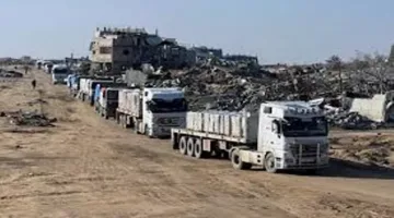 تقرير التوك شو | الهيئة الوطنية للانتخابات تؤكد استعدادها لانتخابات مجلس الشيوخ والمجالس المحلية