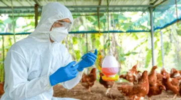 تقليل مخاطر إنفلونزا الطيور على الصحة العامة العالمية