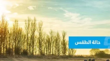 توقعات الطقس في ليبيا (الأحد 6 يوليو 2025)