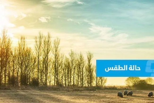 توقعات الطقس في ليبيا (الأحد 6 يوليو 2025)